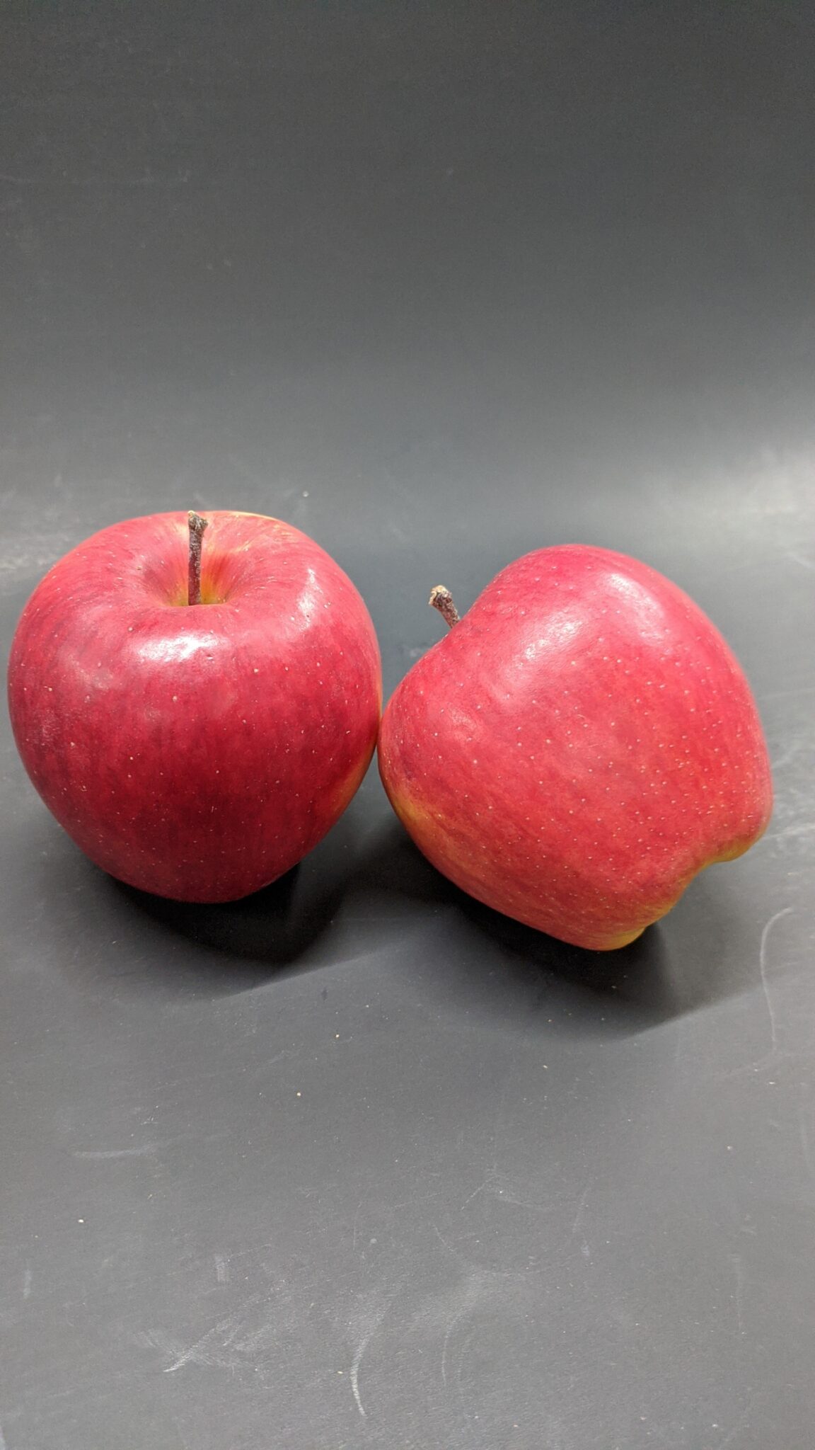 Ambrosia Apples Fleetwood Farms Fresh Ontario Apples and Vegetables