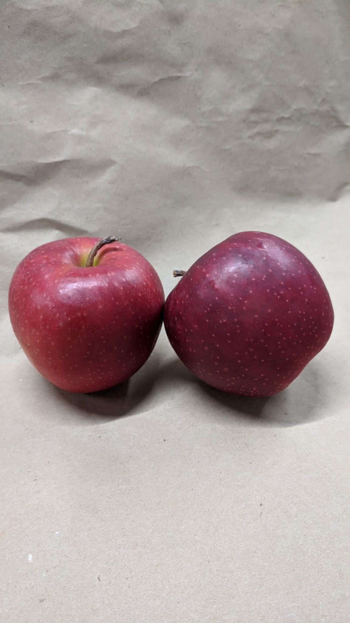 Jonagold Apples Fleetwood Farms Fresh Ontario Apples and Vegetables