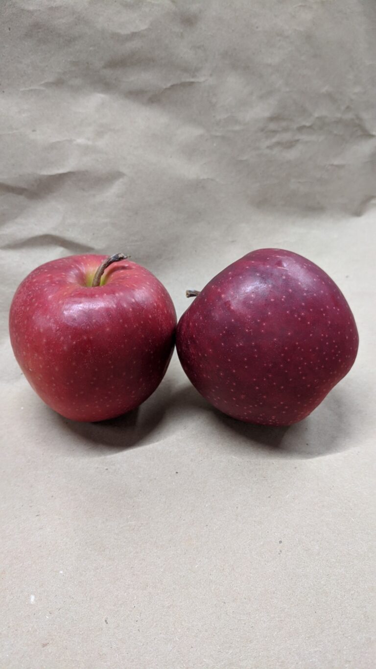 Jonagold Apples Fleetwood Farms Fresh Ontario Apples and Vegetables