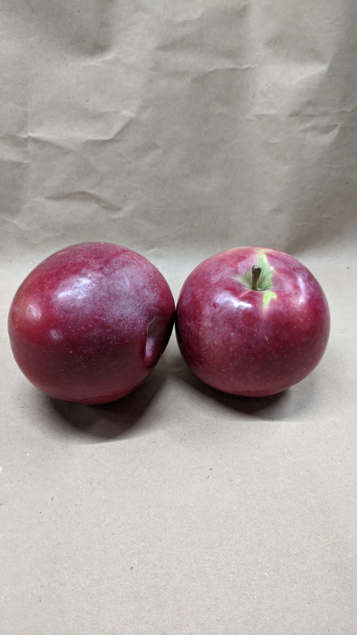 MacIntosh Apples Fleetwood Farms Fresh Ontario Apples and