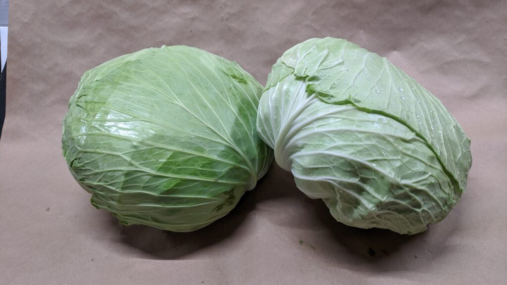 Flat Cabbage Fleetwood Farms Fresh Ontario Apples And Vegetables In