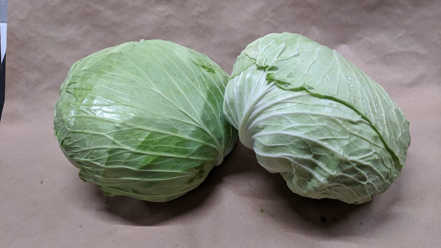 Flat Cabbage Fleetwood Farms Fresh Ontario Apples and Vegetables in