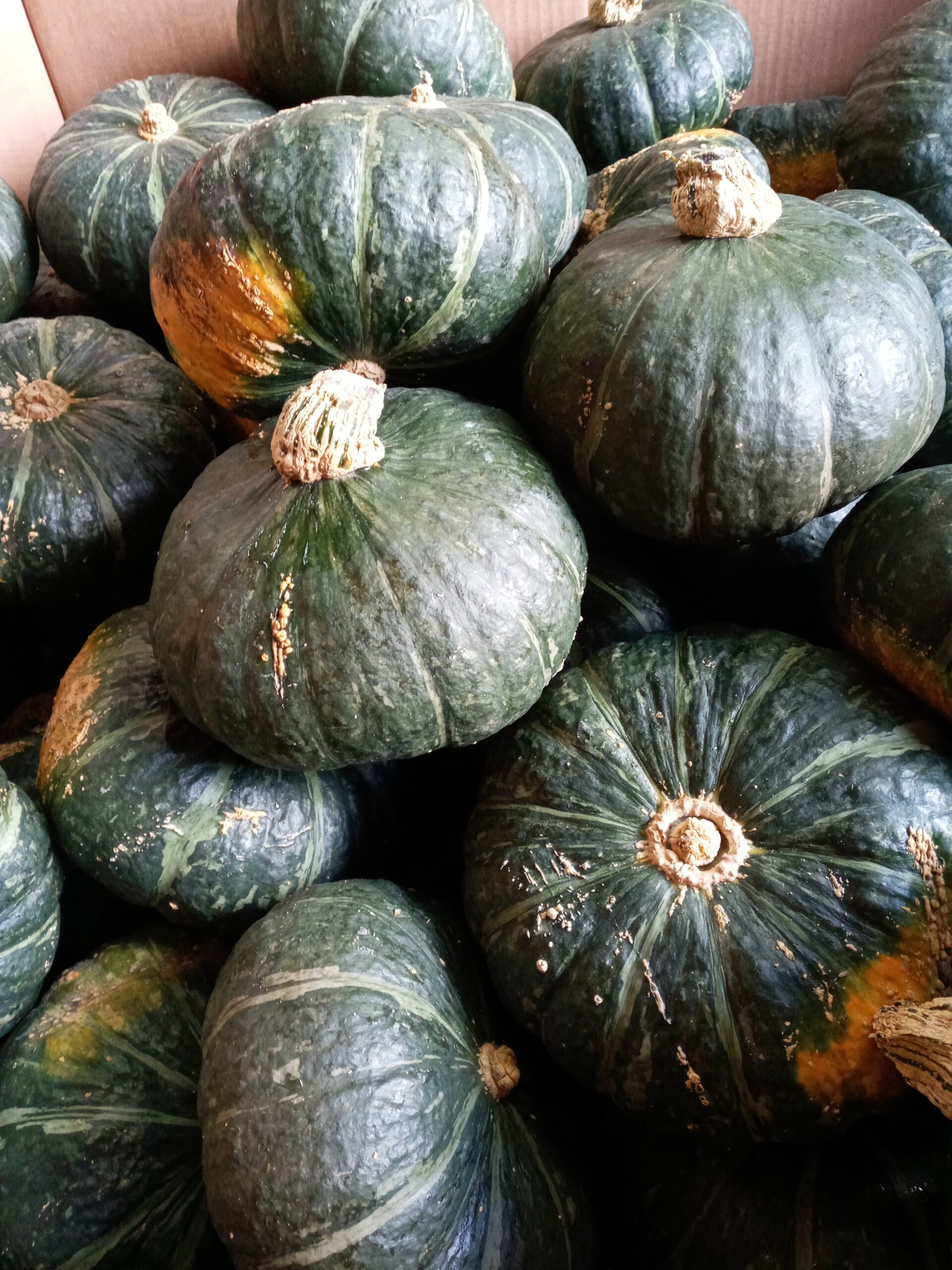 Buttercup Squash Fleetwood Farms Fresh Ontario Apples And Vegetables In Kitchener Waterloo